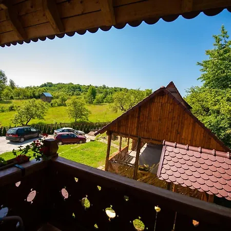 Pensiunea Agroturistica Raluca Farmház *